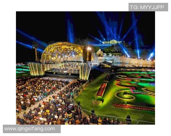 足球明星现场观赏歌手精彩演出感受音乐魅力与激情碰撞